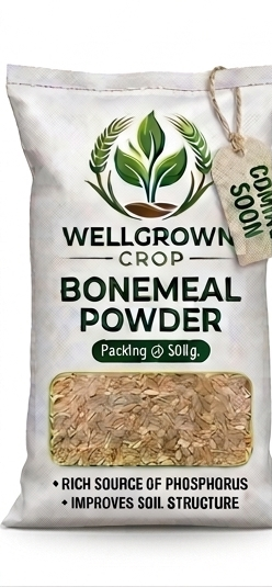 Bonemeal Powder