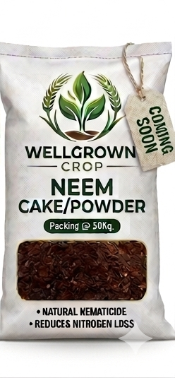 Neem Cake/Powder