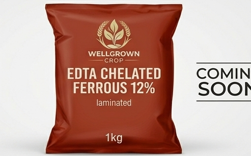 EDTA Chelated Ferrous 12%