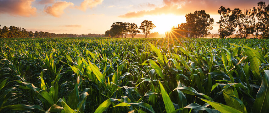 Farmer using products
