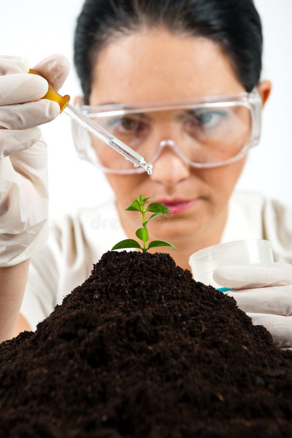 Biostimulant Results