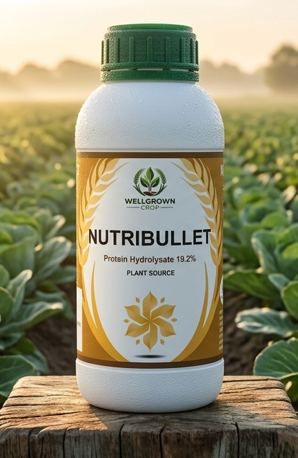 NUTRIBULLET